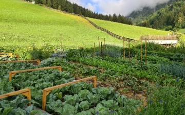 Hofladen mit Ziegenkäserei