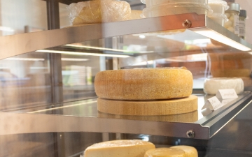 Bottega con formaggi di capra