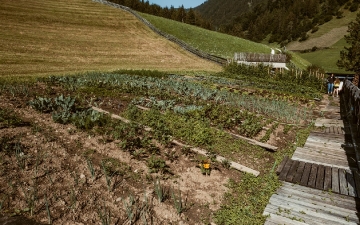 Unser Garten