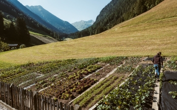 Unser Garten