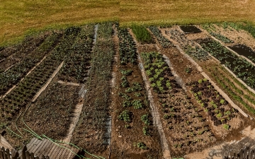 Nostro giardino